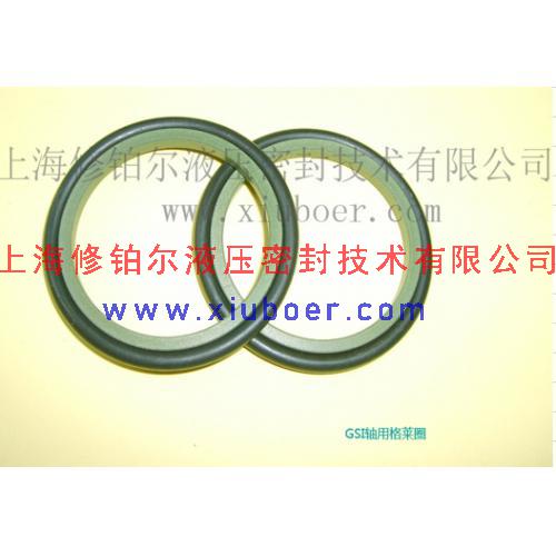 軸用格萊圈(格來(lái)圈) GSI