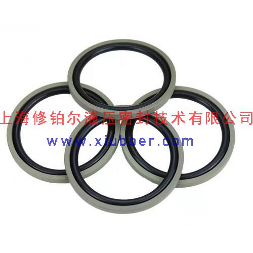 重載孔用格萊圈(格來(lái)圈) GSF-S密封圈