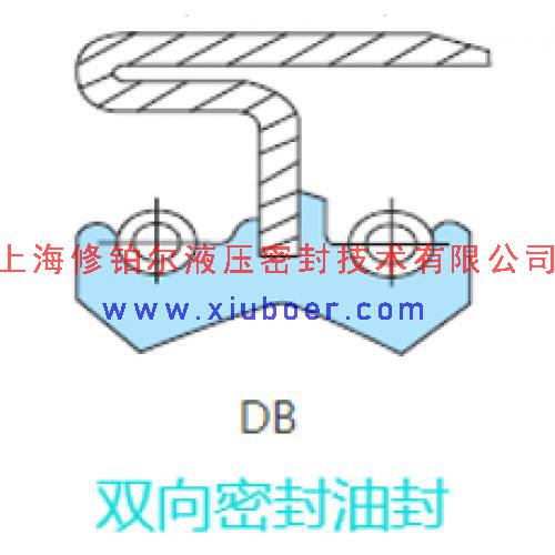 DB雙向骨架油封